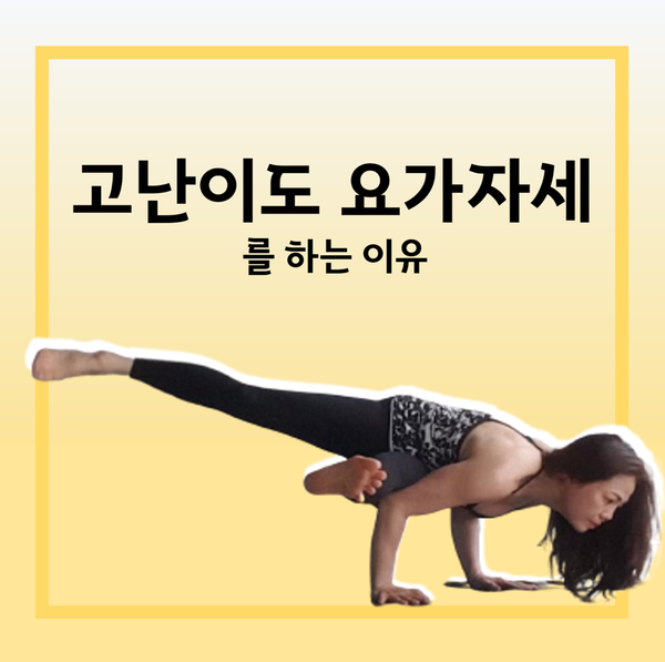  【고난도 자세】고난도 요가자세를 하는 이유_동두천지행양주옥정 황수민 메디요가 월 필라테스