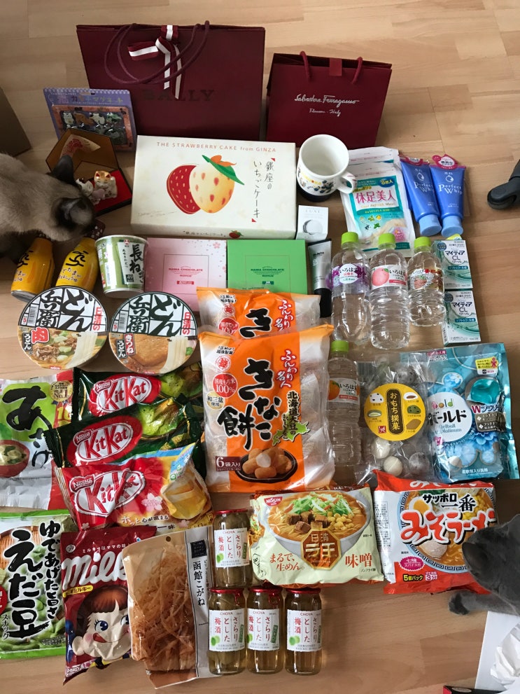  [여행 / 일본 후쿠오카] 17.03.26 한국으로