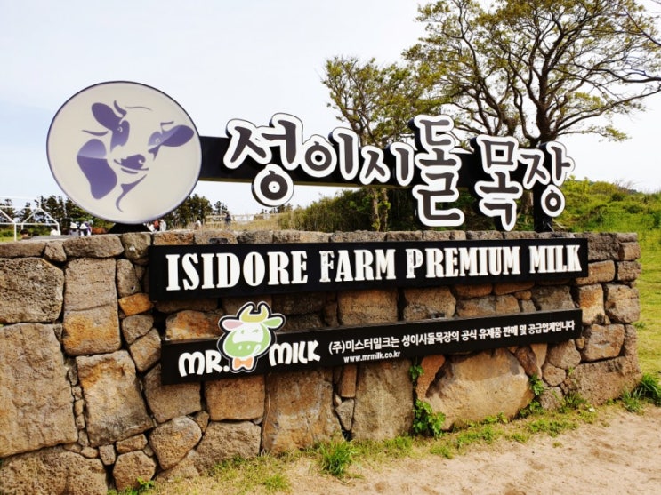 제주도 중문 가볼만한 곳 성이시돌 목장 제주도 사진맛집 테쉬폰 우유부단 카페 제주도 중문 가볼만한 곳 성이시돌 목장 제주도 사진맛집 테쉬폰 우유부단 카페