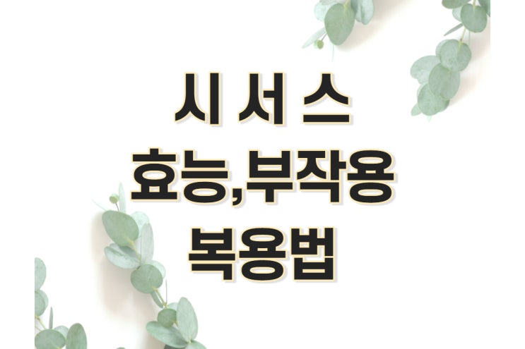  시서스 복용법, 부작용, 효능 정리 (시서스 가루, 식약처 인증, 다이어트)