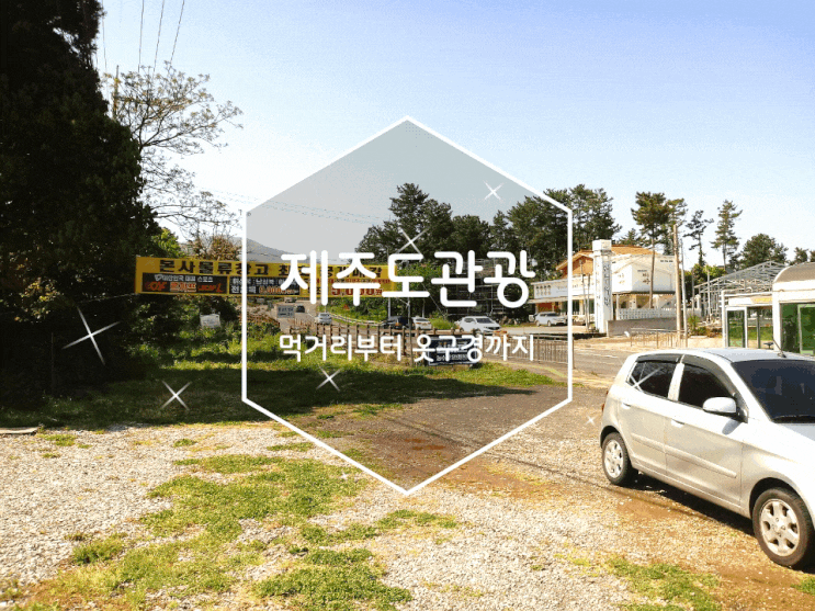 제주도관광 먹거리부터 옷까지 패션을 화려하게