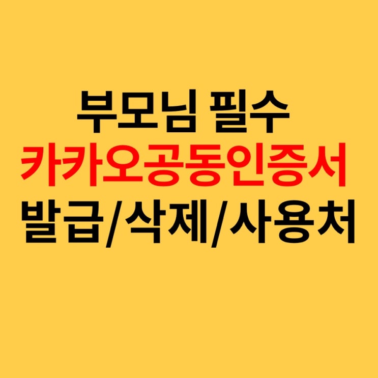 카카오 공동인증서 발급 받고 공인인증서 없이 홈택스, 민원24(정부24) 접속하기