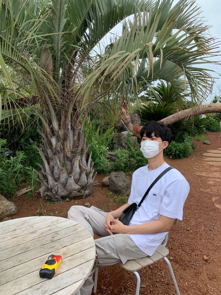  인스밀 제주 서귀포 핫플레이스
