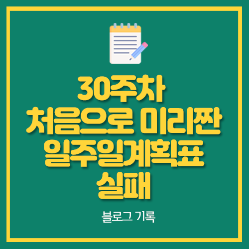  30주차 처음으로 미리짠 일주일계획표 실패