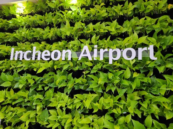  {인천공항 1터미널 } 달달구리가 땡길땐 크리스피도넛