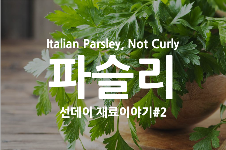  이탈리안 파슬리 보관 관리 방법 및 파슬리 이야기