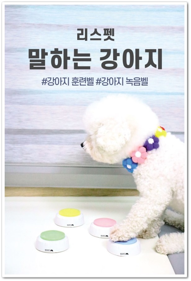  리스펫 말하는 강아지 녹음벨 훈련용품 4종 세트