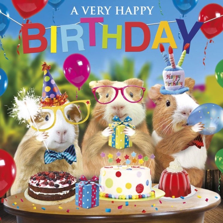  생일축하 이모티콘 / 텍스트대치 모아봤어요