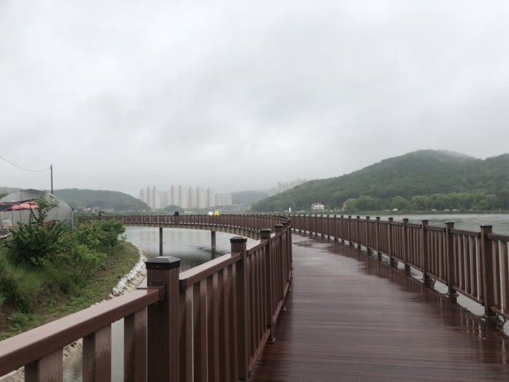  시흥 물왕호수 저수지 둘레길 산책, 주차정보