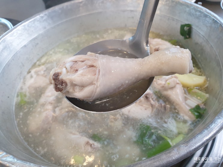 닭한마리 최애 맛집/ 동대문 맛집 : &lt;진옥화할매 원조 닭한마리&gt;