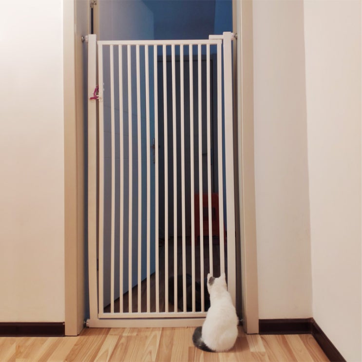 가성비 뛰어난 강아지 방묘문 안전문 고양이방묘창 150cm 120cm 중형 추천합니다