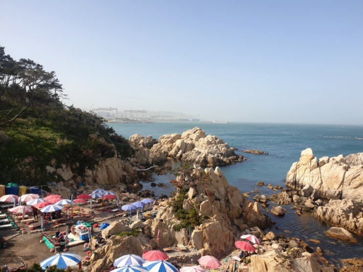  [울산 가볼만한 곳] 울산 대왕암 공원 산책코스로 딱이야