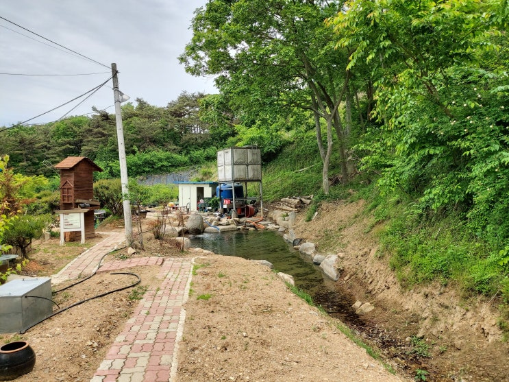  블루베리 농장 매매 전남 곡성 부동산 토지 매매