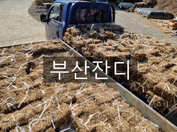 대한민국 제 2의 도시 부산 잔디 배송