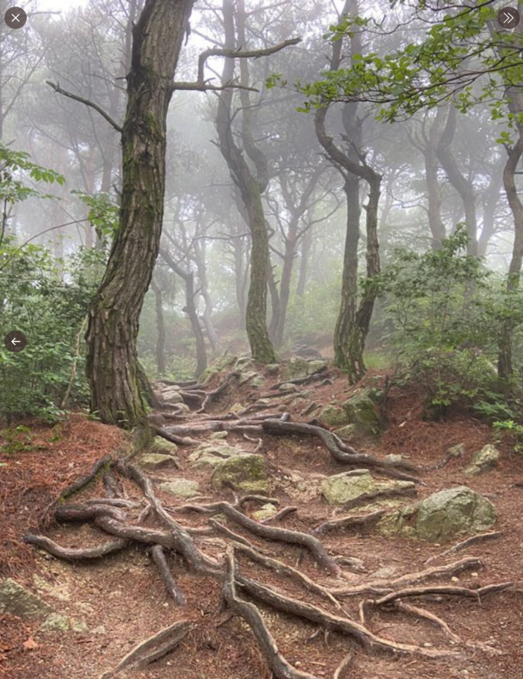  괴담은 아니고 비 오니까 비 오는 날에 산 갔다가 이상한 거 본 거 생각남