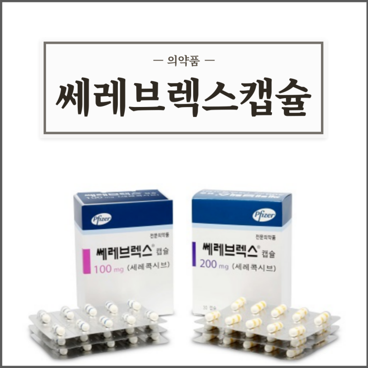  쎄레브렉스캡슐 100mg/200mg, 효능효과/복용법/부작용/주의사항 등 간단정리