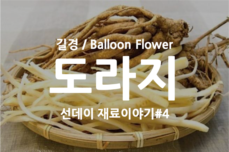  도라지이야기 그리고 도라지 효능 및 관리 세척 방법