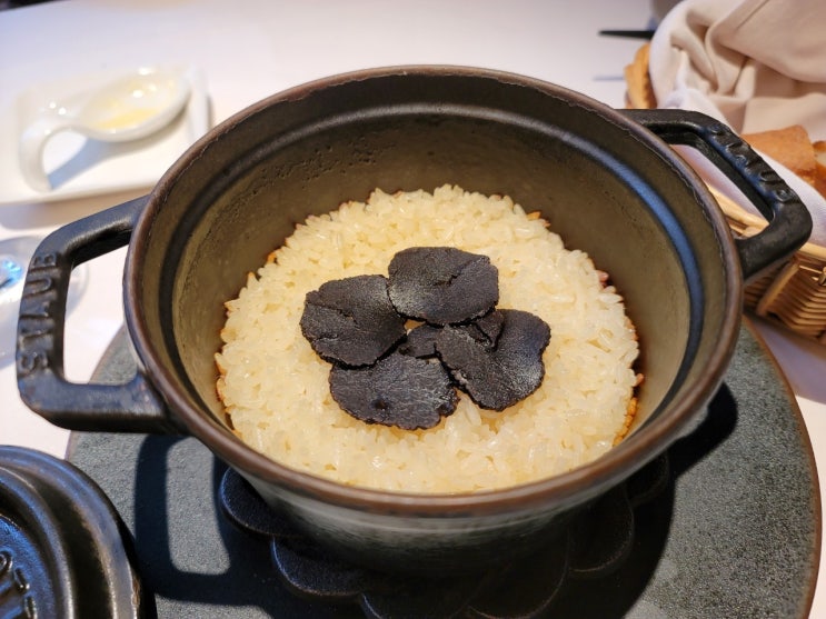  <일본 맛집> 떼르 드 트러플, 도쿄 Terres de Truffes, Tokyo @ 가이엔마에, 도쿄
