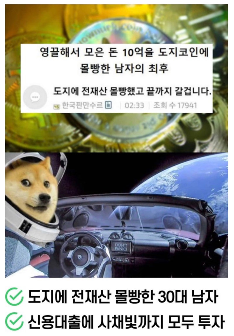 ⭐️ 도지코인 비트코인 400억 벌고 퇴사한 소식 듣고 몰빵한 30대 투자자 현재 상황 (서울 아파트값 넘사벽 되자 코인에 몰린  2030) ⭐️ : 네이버 블로그