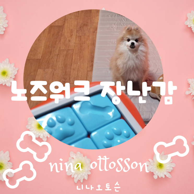 강아지 노즈워크 장난감 | 니나오토슨(nina ottosson) 3단계 도그워커 & 챌린지 슬라이더 | 내돈내산