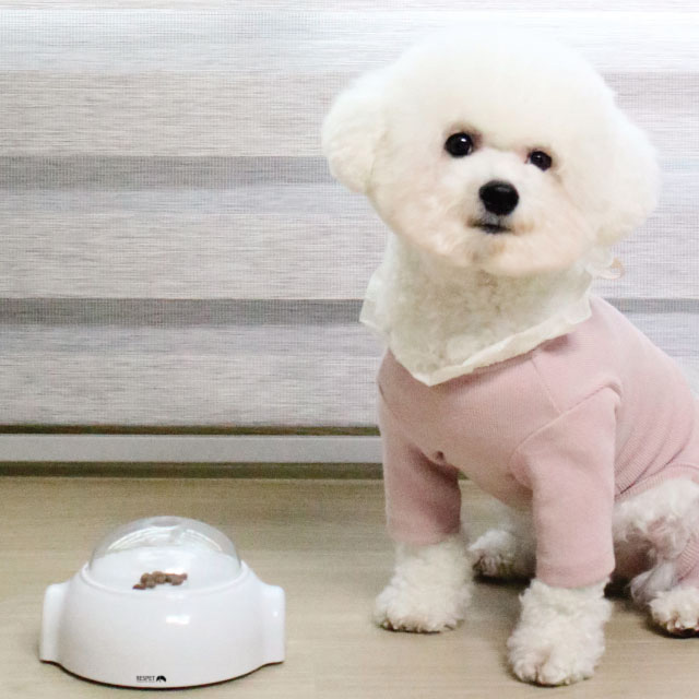많이 찾는 리스펫 우주선 강아지 노즈워크 장난감, 화이트, 1개 추천해요 많이 찾는 리스펫 우주선 강아지 노즈워크 장난감, 화이트, 1개 추천해요