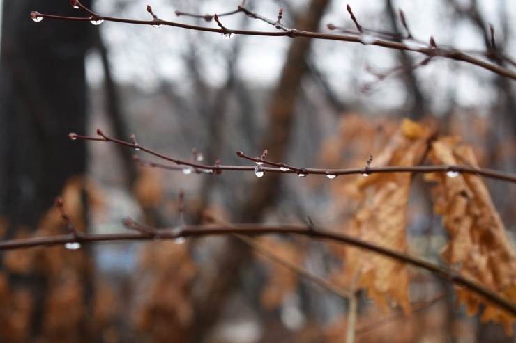  계해일주,60갑자,계해일주론,계해일주직업,성향,특징,유명인
