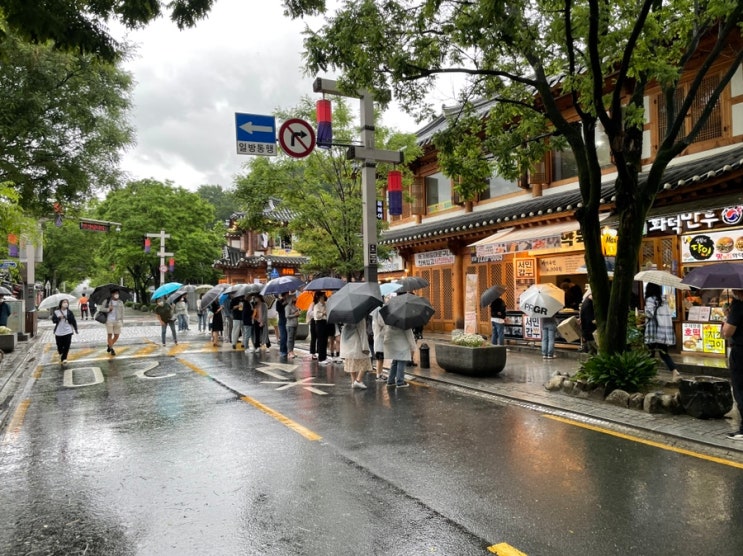 서민갑부 육전 전주 한옥마을 가볼만한곳? 마약육전 줄 엄청 서네요