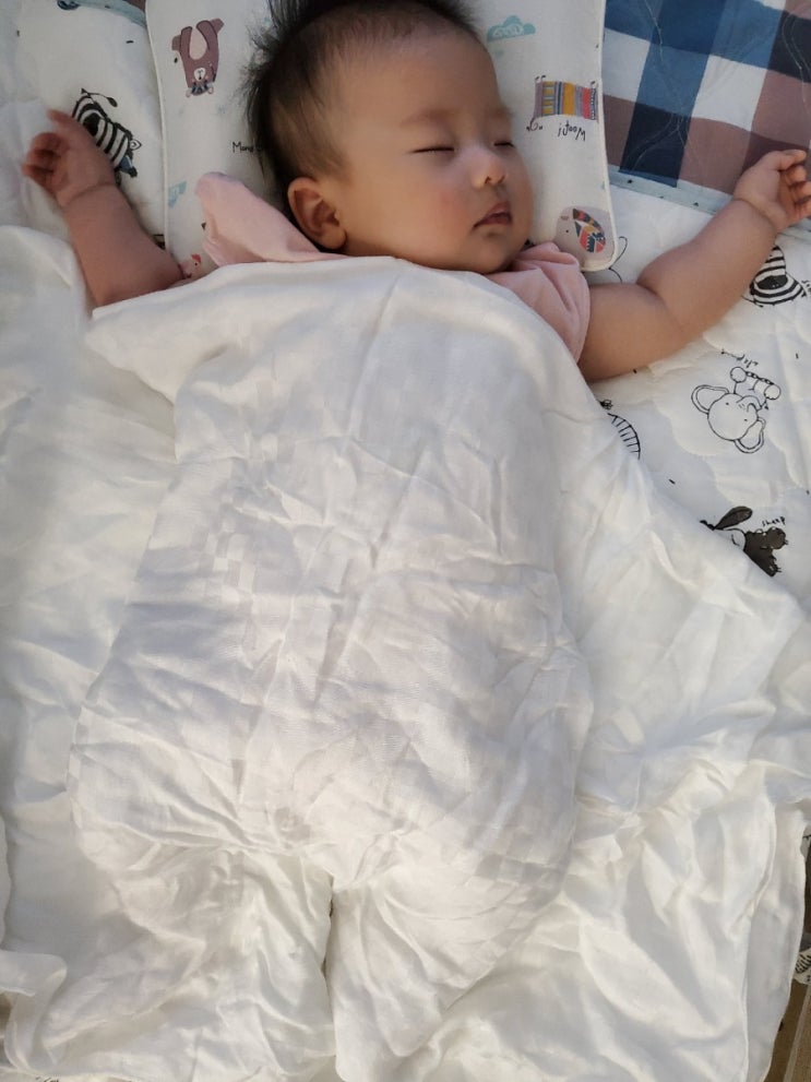 111일차-거제시추모의집, 장거리, 카시트 적응 111일차-거제시추모의집, 장거리, 카시트 적응