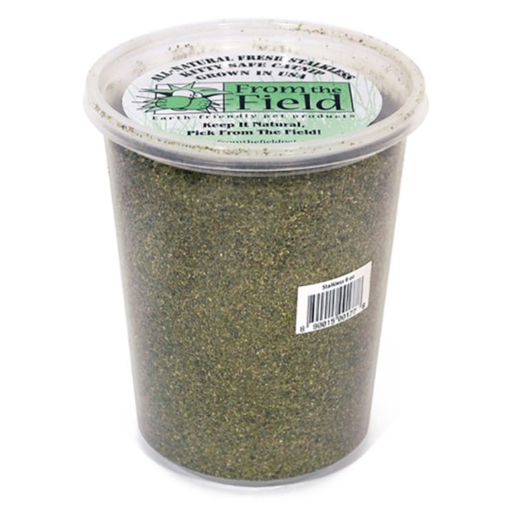 인지도 있는 프롬더필드 캣닢 고양이간식 tub 170g, 키티세이프, 1개 ··· 인지도 있는 프롬더필드 캣닢 고양이간식 tub 170g, 키티세이프, 1개 ···