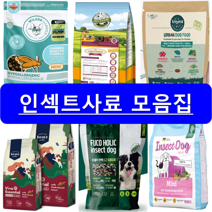 인기 많은 벨포아 인섹트 엔토마 와일더해리어 후쿠홀릭 키츠가든 인섹트사료 모음집, 후쿠홀릭인섹트(2.4kg) 좋아요 인기 많은 벨포아 인섹트 엔토마 와일더해리어 후쿠홀릭 키츠가든 인섹트사료 모음집, 후쿠홀릭인섹트(2.4kg) 좋아요