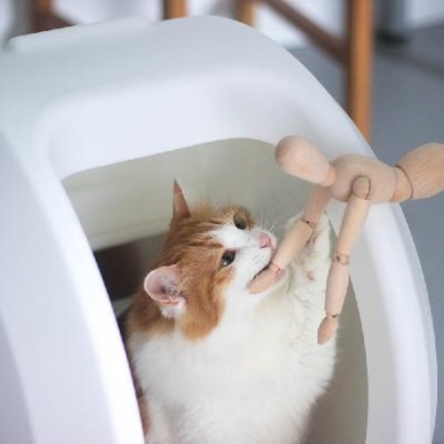인지도 있는 고양이 자동 화장실 반닫이형 사분 반자동 똥통 덤프트럭호 전폐 사분., 01 기본핏 화이트 ···