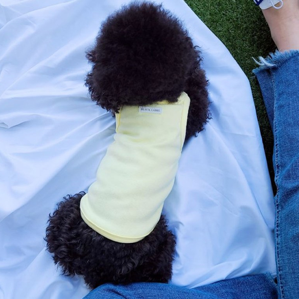 가성비갑 페시얌 강아지 기본 나시 티셔츠, 옐로우 ··· 가성비갑 페시얌 강아지 기본 나시 티셔츠, 옐로우 ···