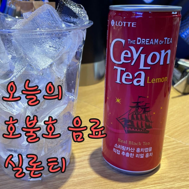  호불호 음료 리뷰 - 실론티, 맛있잖아?