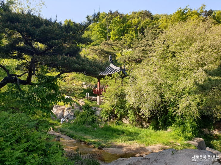  서울 걷기 좋은 곳 : 인왕산 자락길 ①인왕산 숲 길 코스