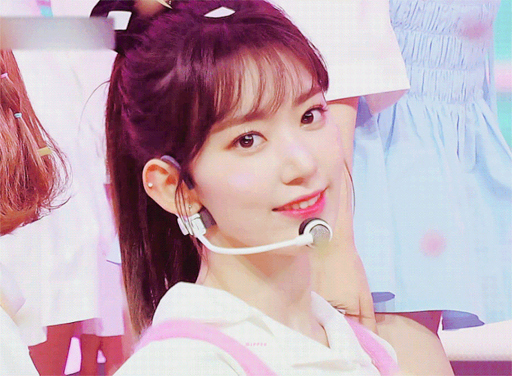  아이즈원 미야와키 사쿠라 HKT48 졸업, 한국에서 활동할까?
