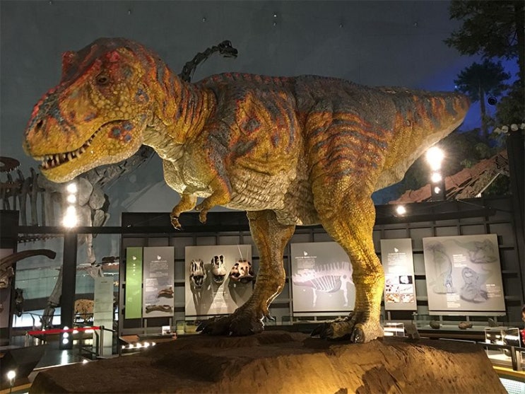 [랜선 타고 일본여행] 일본에서 공룡을 만나다 • 후쿠이 현립 공룡 박물관(福井県立恐竜博物館)【후쿠이현】