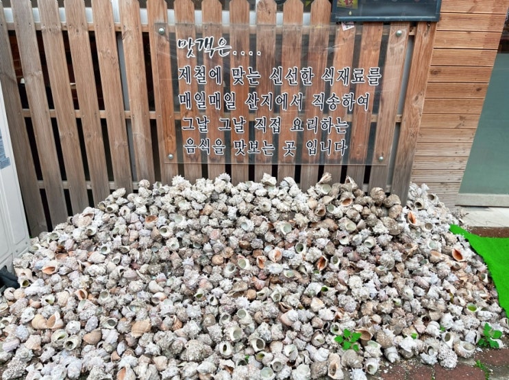  오월의 열일곱 번째 일기