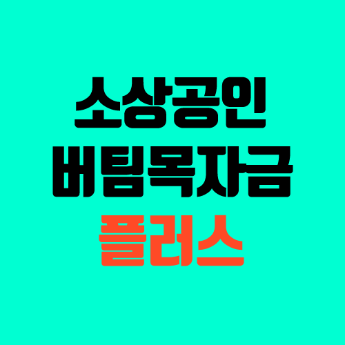 소상공인 버팀목자금 플러스 확인지급 (입금, 검증중)