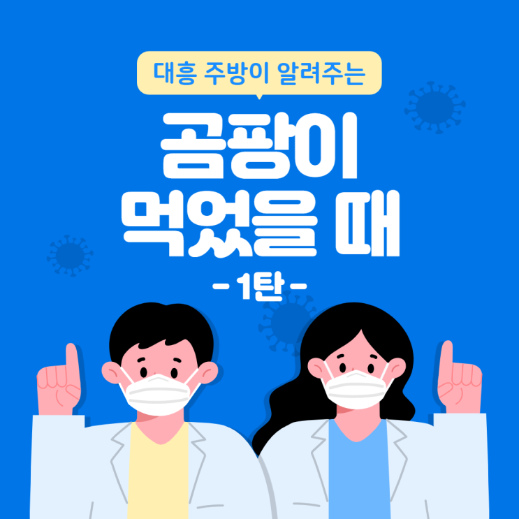  곰팡이 먹었을 때 유형 2가지 비교하기[곰팡이 먹었을 때 1탄]