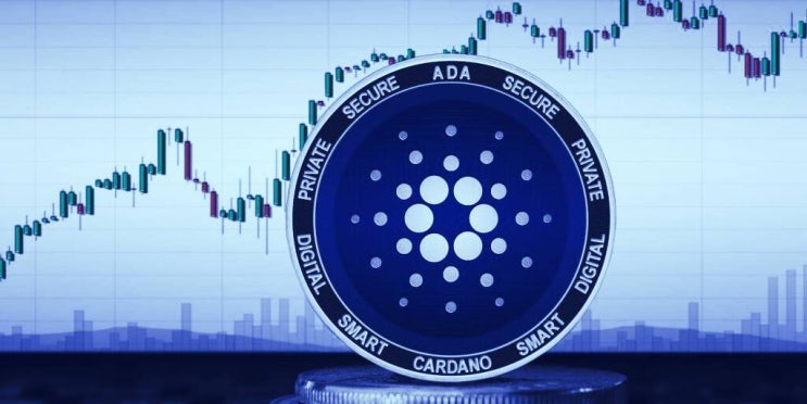  2021년 최고의 코인 카르다노 에이다(암호화폐 가상자산)
