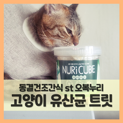  고양이 유산균 트릿으로 맛있게 냠냠! (f. 동결건조간식 오복누리 누리큐브)