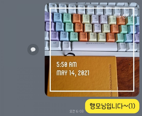  미라클모닝 비움 6주 차 사진찍기 - 참 좋았지만 힘들었던..