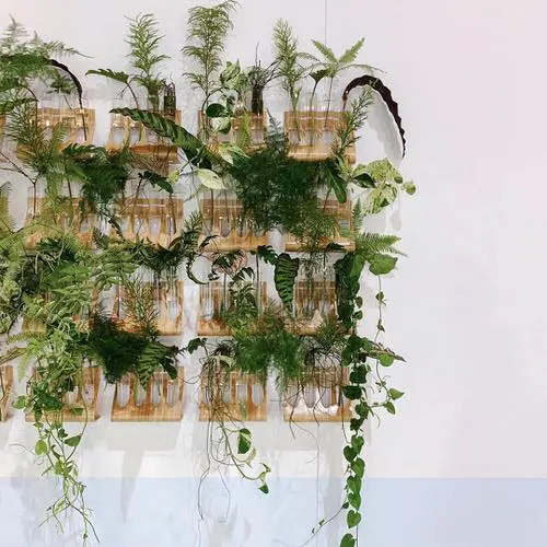 실내 홈 플랜트월 데코 수경재배 식물 수직정원 아이디어