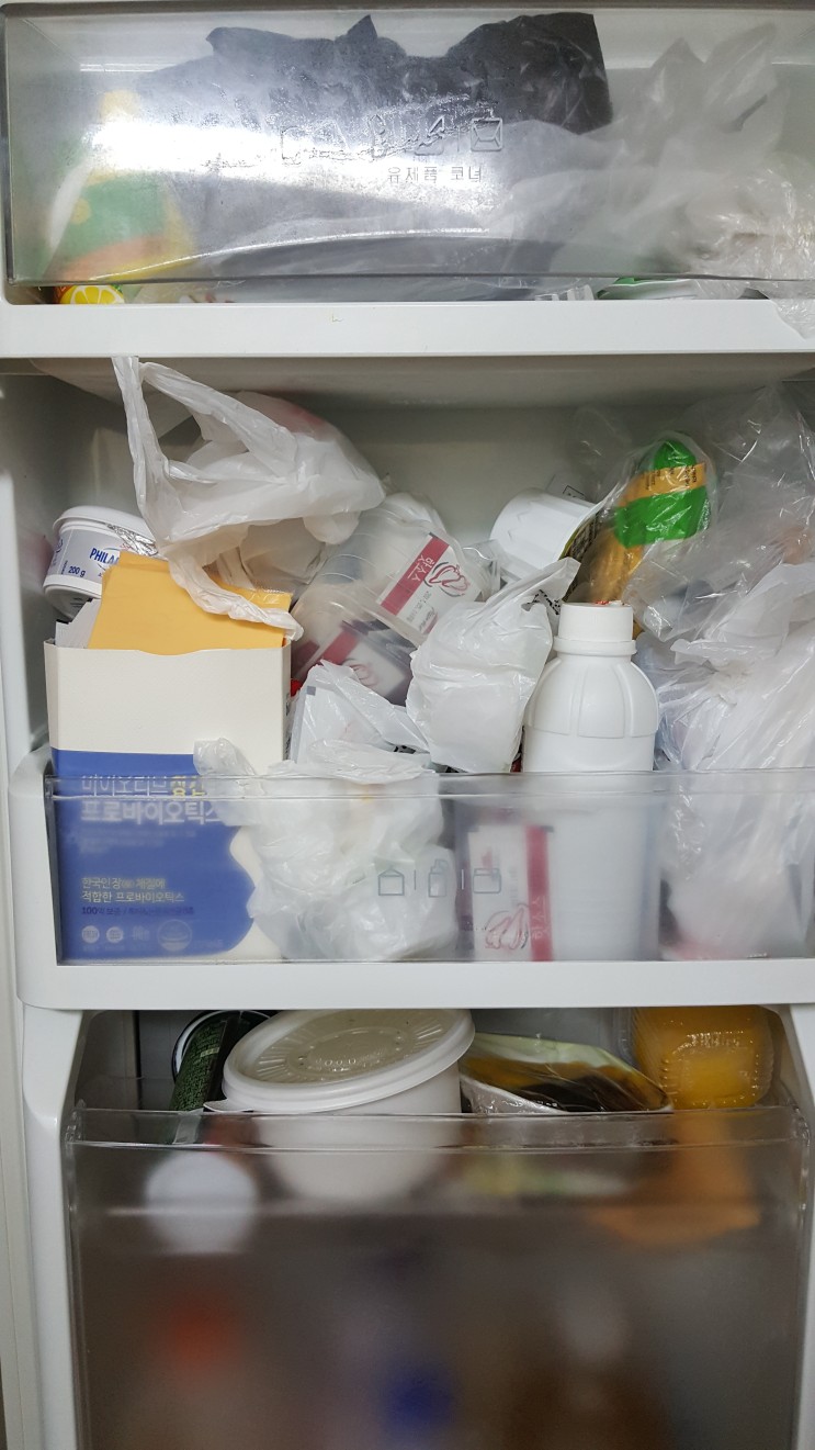 '냉창고'가 된 냉장고 - 편하자고 산 물건들이 오히려 불편함을 준다