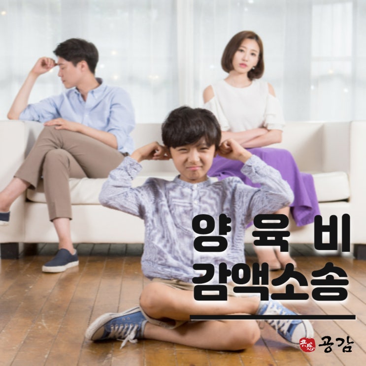 양육비감액 소송, 혼자하면 어려운 이유 양육비감액 소송, 혼자하면 어려운 이유