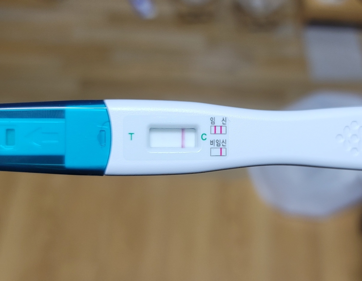  열번째 시도 - 배란 8~9일차 예상 임테기