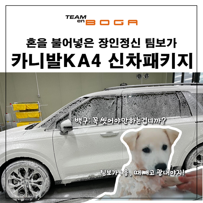  카니발 신차패키지 백구 씻기고 케어서비스 할게요!