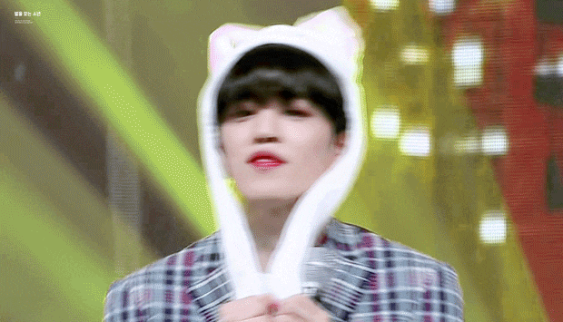  [세븐틴끼리 카톡하기/쿱정] 반인반수, 승처리는 멋진 어르니가 될 거야!