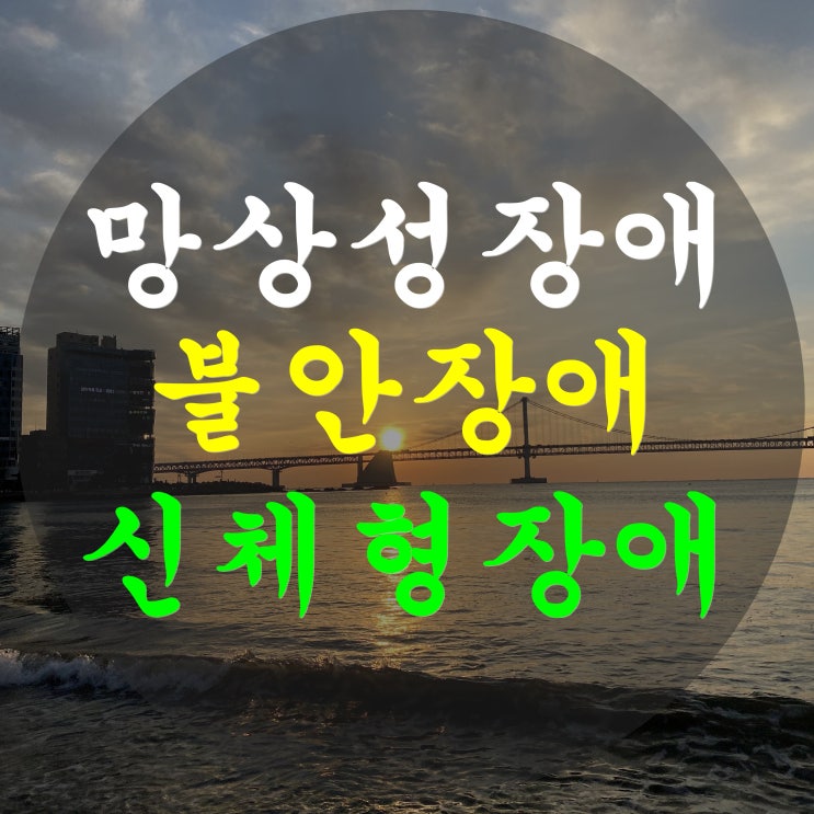  망상성장애, 불안장애, 신체형장애 증상과 의학용어