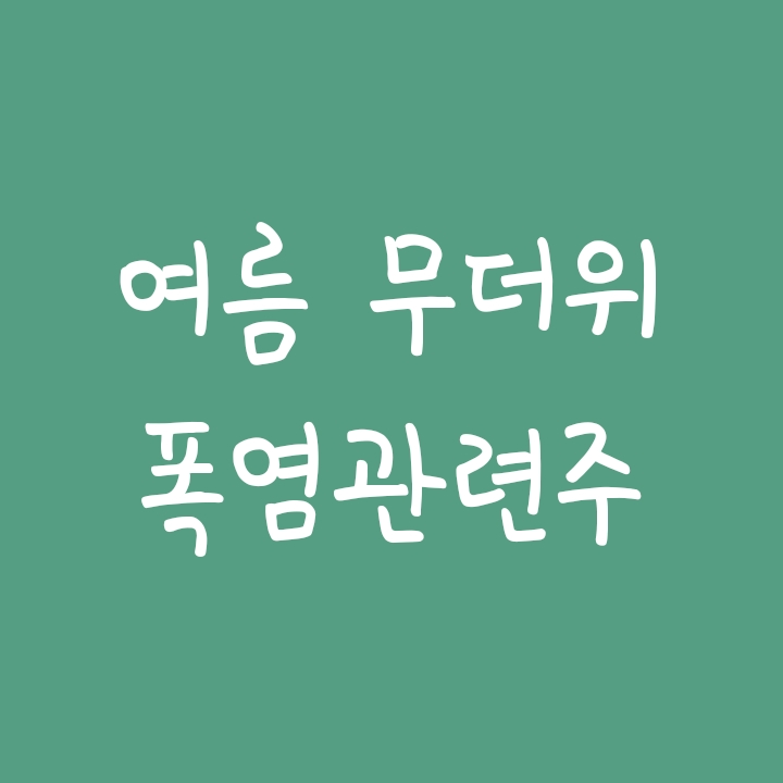 여름 폭염 무더위 관련주 총정리 여름 폭염 무더위 관련주 총정리